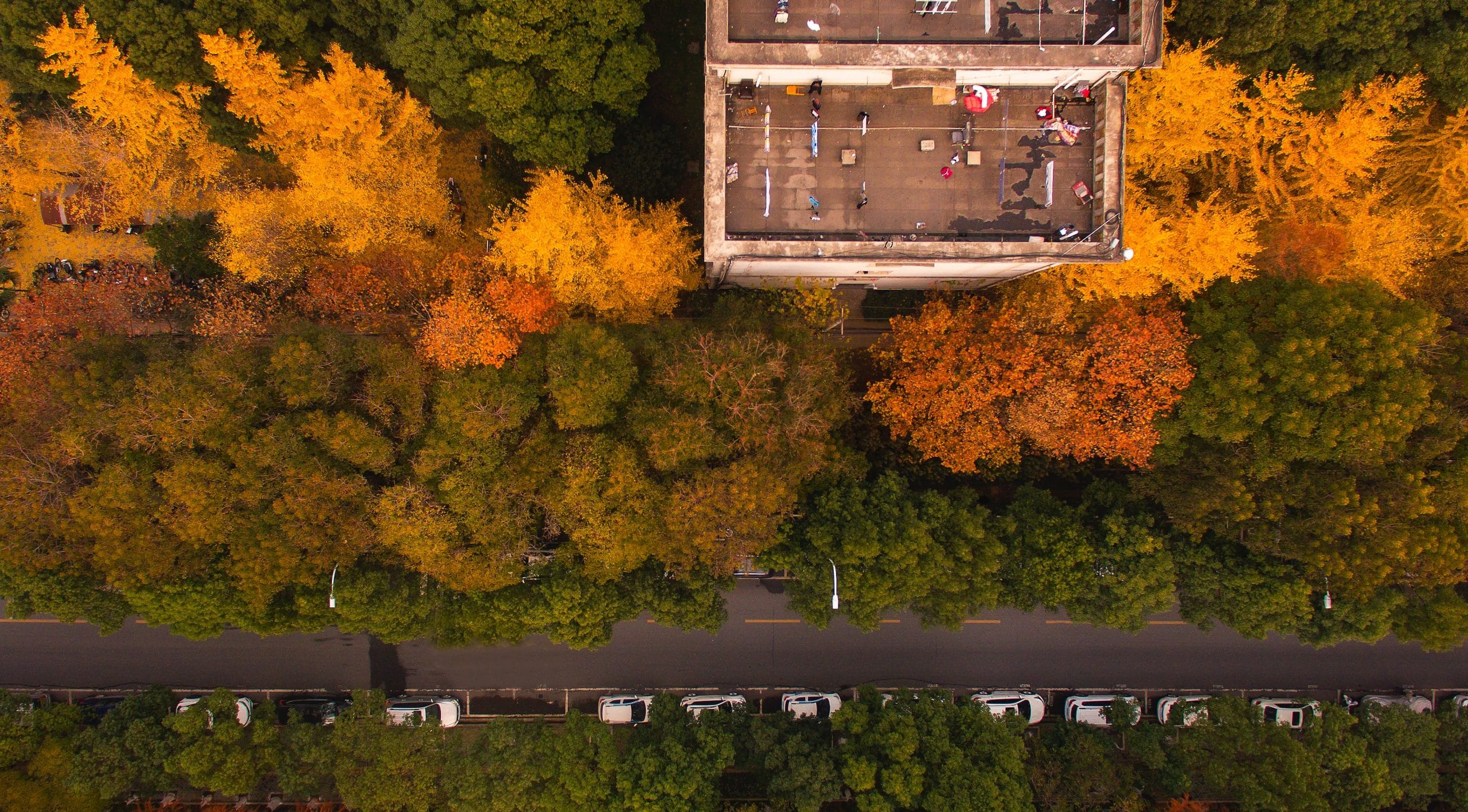 Living Cities: Towards Ecological Urbanism