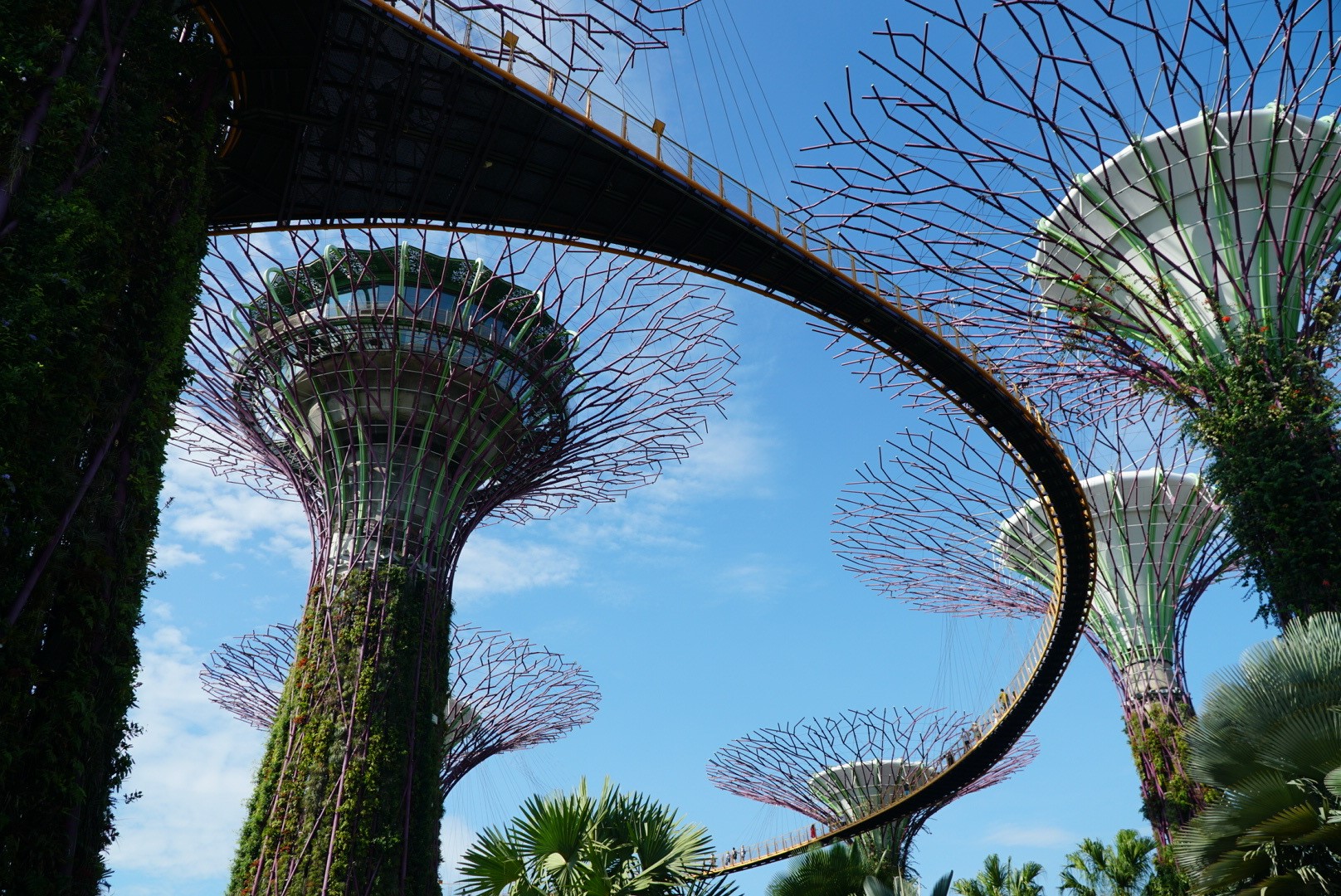 Singapore Index on Cities’ Biodiversity