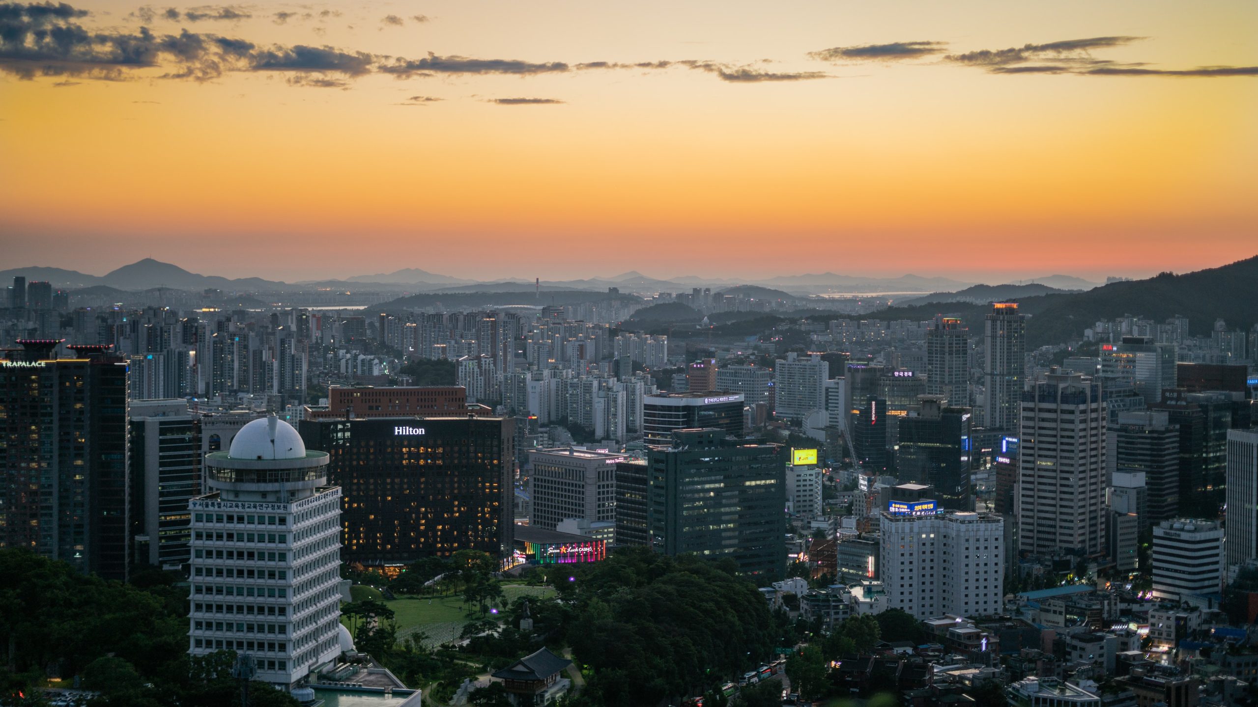 Cities must reconnect with natural foundations to face climate, health and biodiversity crises