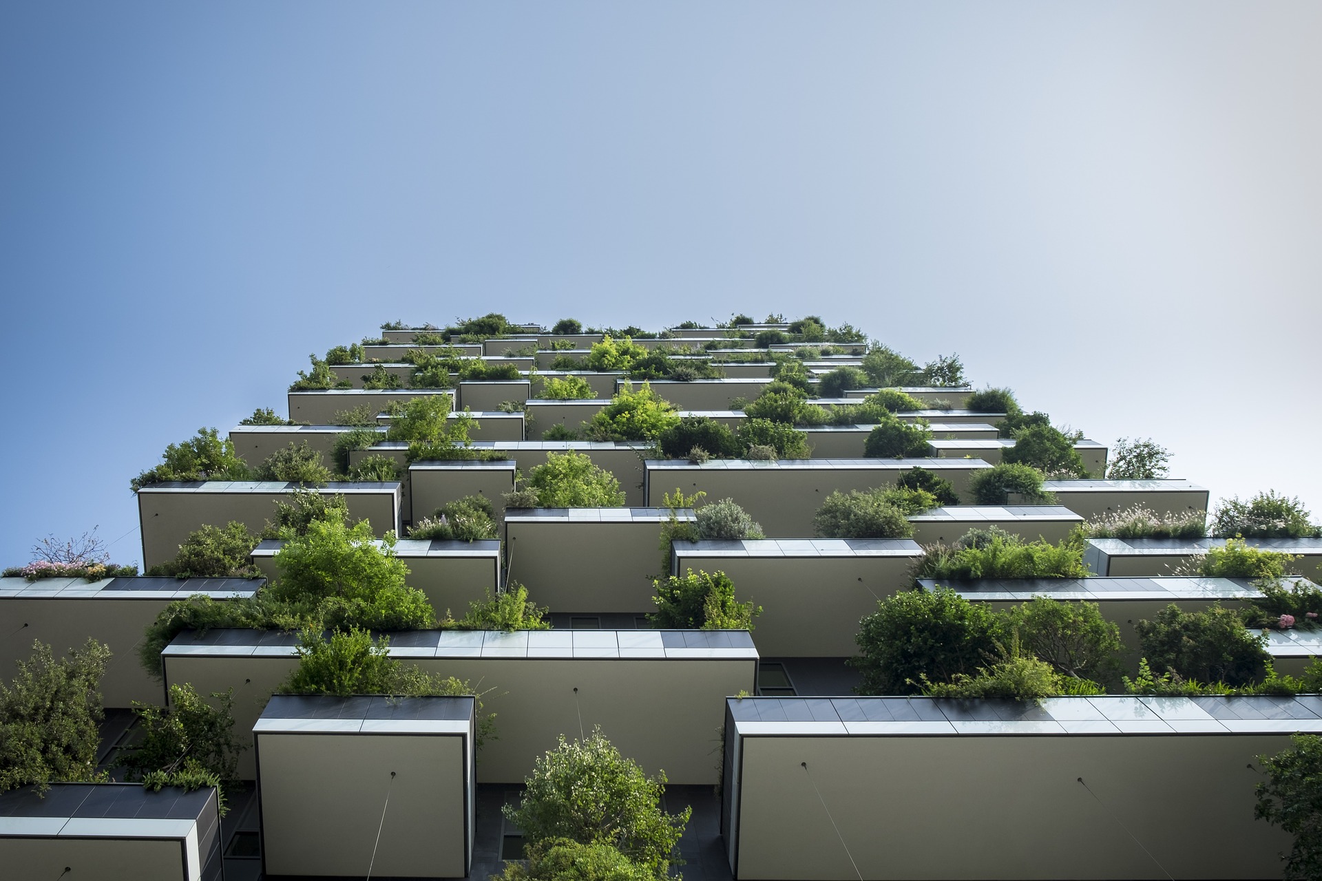 The Healthy, Biophilic City