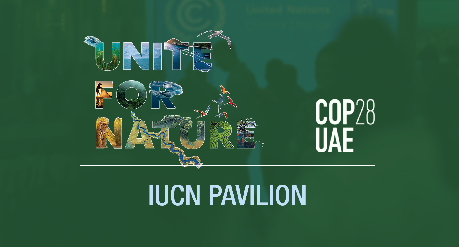 Urban Nature Program and Global Forum on Human Settlements: IUCN Urban at UNFCCC COP 28