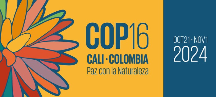 CBD COP 16: engagements of the IUCN Cities, Culture and Youth Team