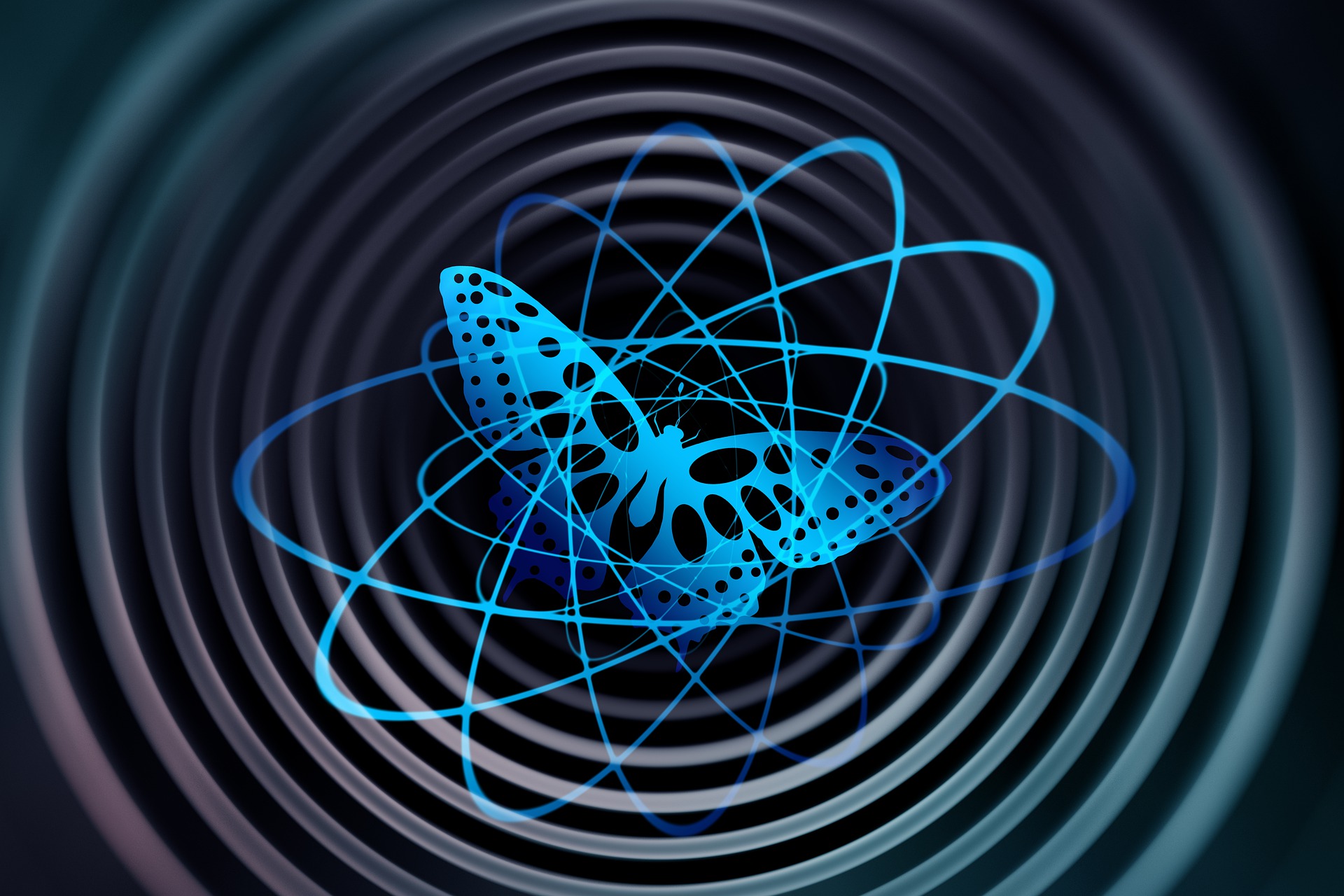 The Urban Butterfly Effect IUCN Urban Alliance